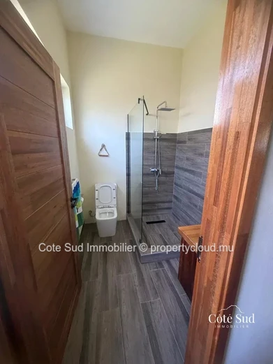 For rent – Magnificent spacious house with pool