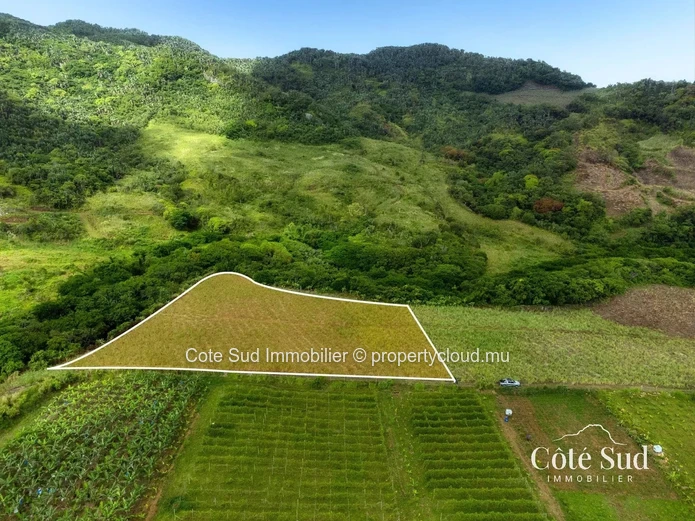 À VENDRE – Terrain agricole à Chamouny
