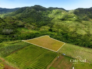Agricultural Land