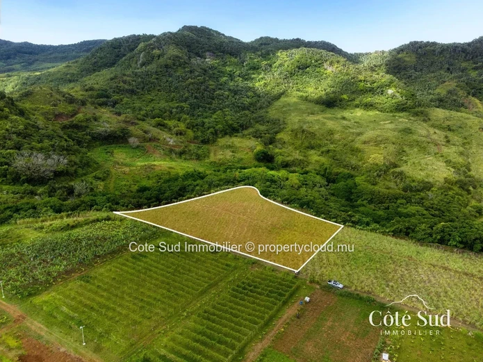 À VENDRE – Terrain agricole à Chamouny