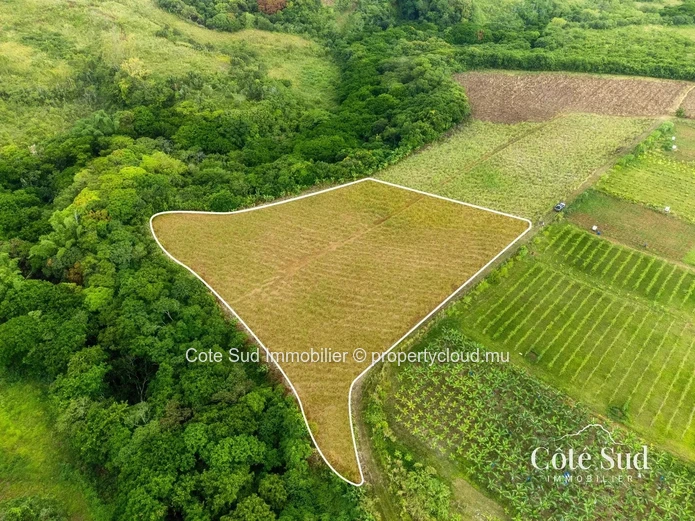 À VENDRE – Terrain agricole à Chamouny