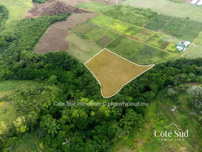À VENDRE – Terrain agricole à Chamouny