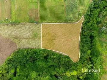 Agricultural Land